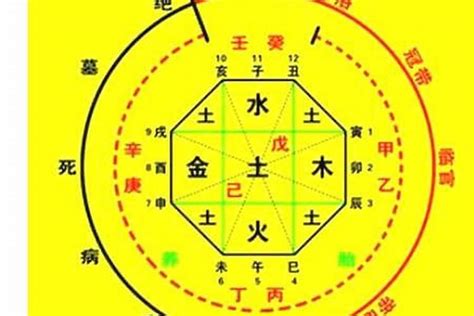 出生算命|生辰八字算命、五行喜用神查询（免费测算）